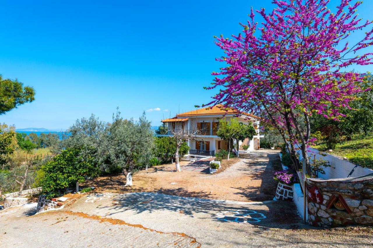 Maria Apartments Studios Epidavros Epidaurus Exterior photo