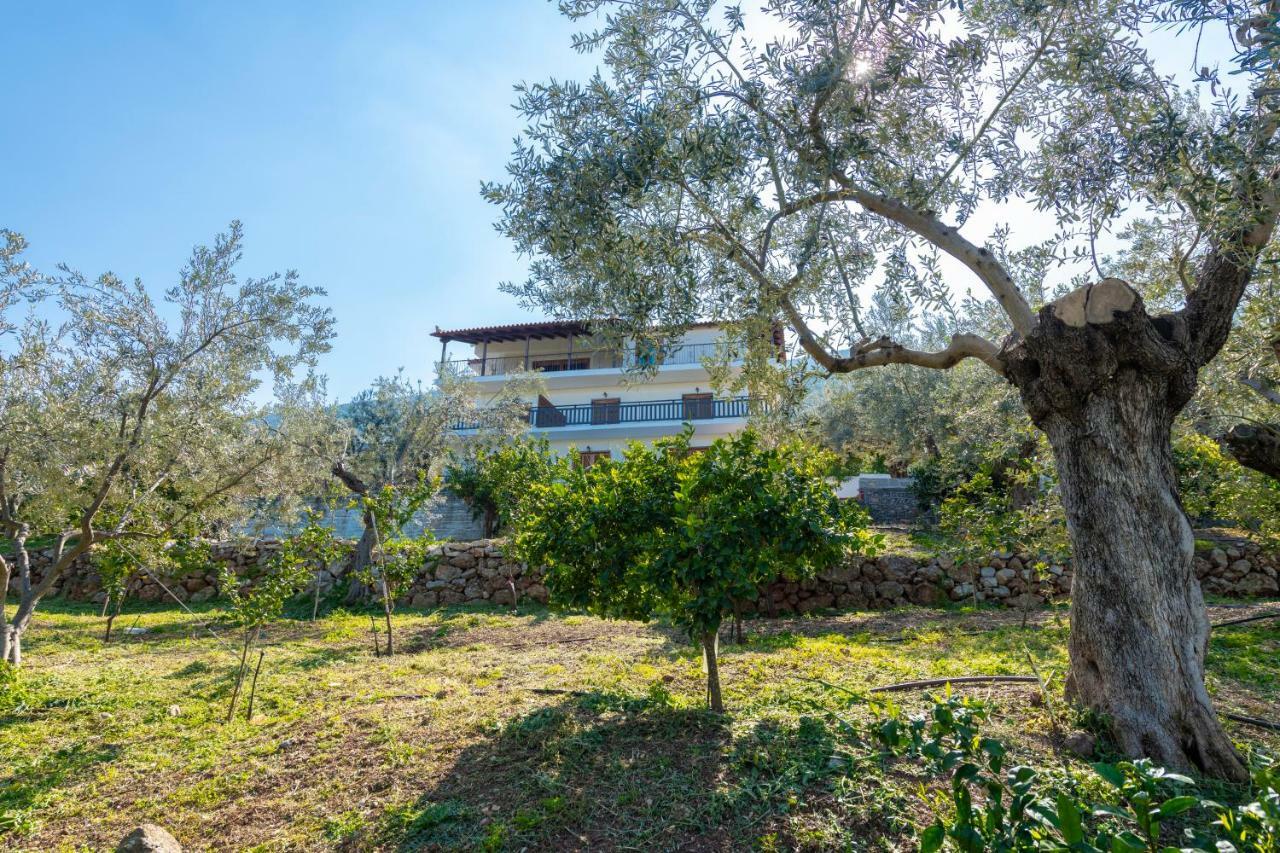 Maria Apartments Studios Epidavros Epidaurus Exterior photo